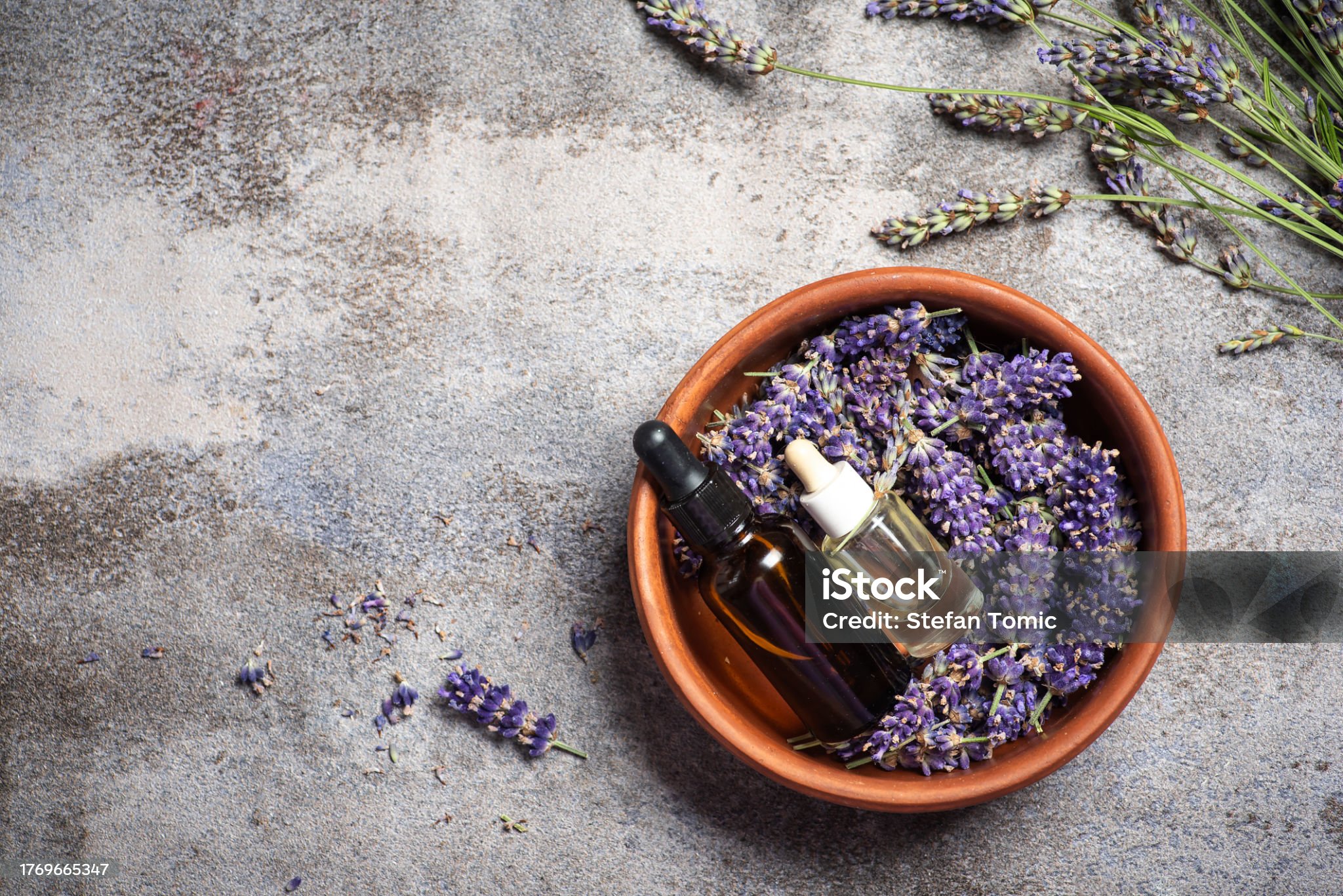 Lavender essential oil in bottles and lavender flowers in a bowl on a light gray background. With copy space